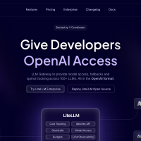 liteLLM