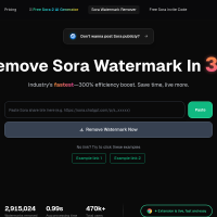 Sora Watermark Remover