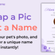 Pic A Pet Name