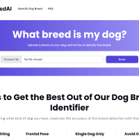 我的狗是什么品种