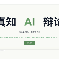 真知 AI 辩论